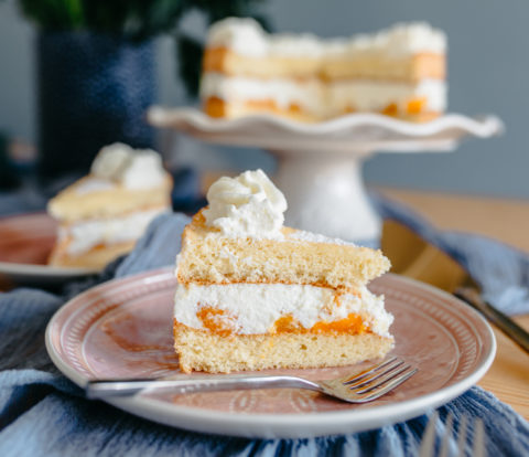 Quark Sahne Torte mit Mandarinchen